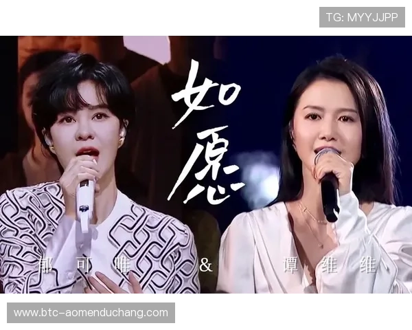 完美视讯网站：打造极致视听盛宴的领先在线视频门户