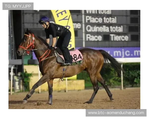 掌握澳门赛马规则：赛前准备和比赛中的关键注意点